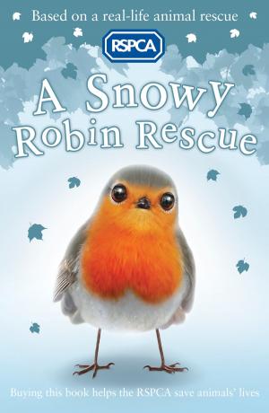 Cover of the book RSPCA: A Snowy Robin Rescue by Terry Deary