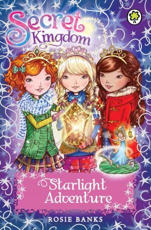 bigCover of the book Secret Kingdom: Starlight Adventure by 