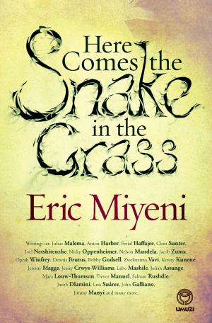 Cover of the book Here Comes the Snake in the Grass by Margaret Roberts