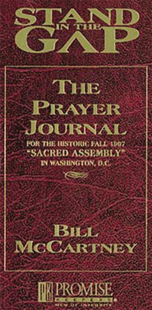 Cover of the book Stand in the Gap Prayer Journal by Joe Pettigrew