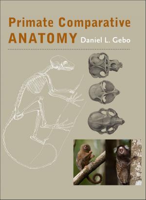 Cover of Primate Comparative Anatomy