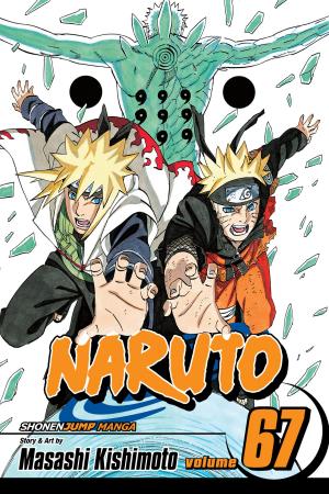 Book cover of Naruto, Vol. 67