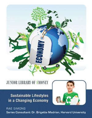 Cover of the book Sustainable Lifestyles in a Changing Economy by Katie Silver