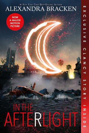 Cover of the book In the Afterlight by Elise Allen, Daryle Conners