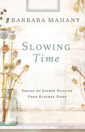 Cover of the book Slowing Time by Adam Hamilton