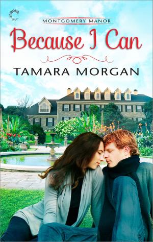 Cover of the book Because I Can by Allison Parr
