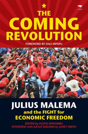 Cover of the book The Coming Revolution by David Coltart