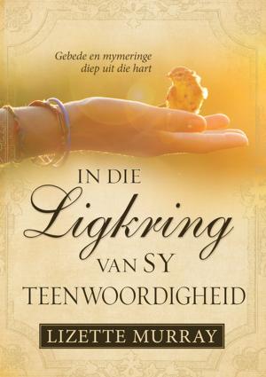Cover of the book In die ligkring van Sy teenwoordigheid (eBoek) by Zane Meas