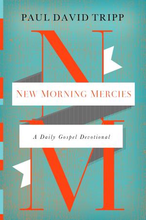 Cover of the book New Morning Mercies by Adrian Warnock