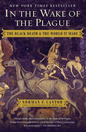 Cover of the book In the Wake of the Plague by Herman Wouk