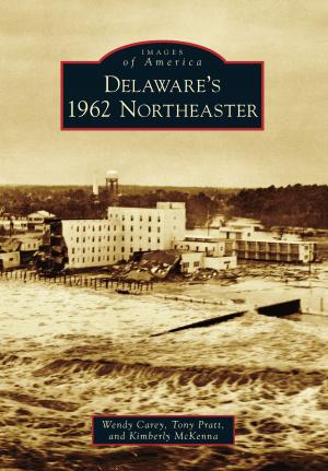 Cover of the book Delaware's 1962 Northeaster by Cynthia Mestad Johnson