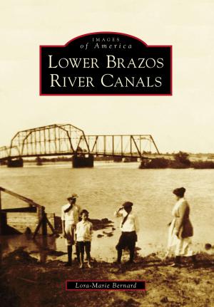 Cover of the book Lower Brazos River Canals by Tamy Kay Thompson