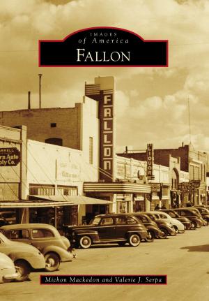 Cover of the book Fallon by Lynn Robinson Camp, Jennifer E. Cheeks-Collins