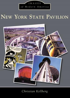 Cover of the book New York State Pavilion by David Ford