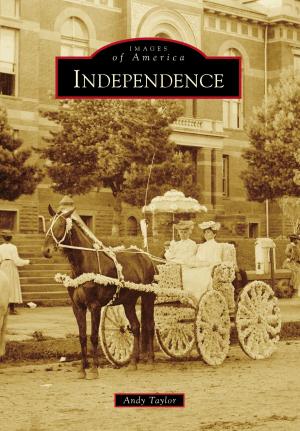 Book cover of Independence