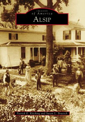 Cover of the book Alsip by Lorna MacDonald Czarnota