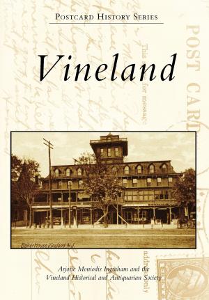 Cover of the book Vineland by Kate Navarra Thibodeau