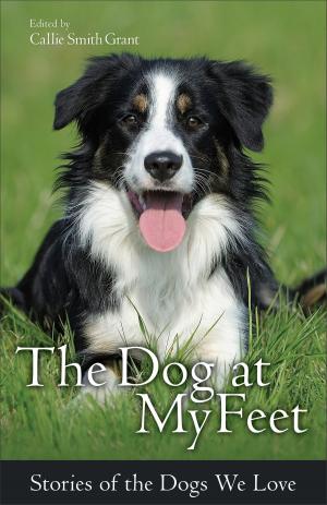 Cover of the book The Dog at My Feet by Lisa Wingate