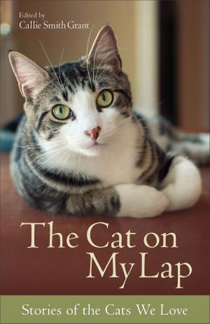 Cover of the book The Cat on My Lap by Jack Alexander