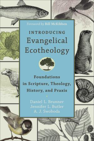 Book cover of Introducing Evangelical Ecotheology