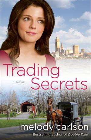 Cover of the book Trading Secrets by Robert Van Kampen