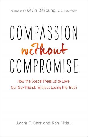 Cover of the book Compassion without Compromise by Holley Gerth