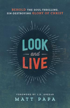Cover of the book Look and Live by Morgan L. Busse