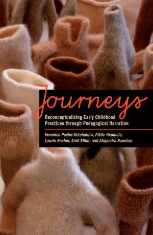Cover of the book Journeys by Veronica Davidov