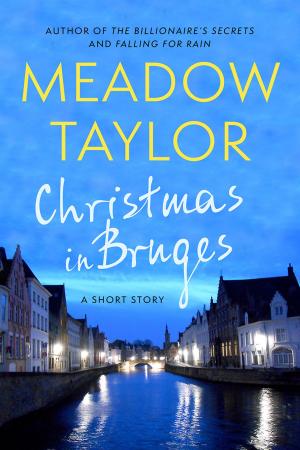 Cover of the book Christmas In Bruges by Joseph Polansky