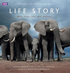 Cover of the book Life Story by Paddy Agnew