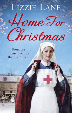 Cover of the book Home for Christmas by Liz Kaye