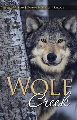 Cover of the book Wolf Creek by Lollie Hoxie