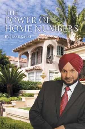 Cover of the book The Power of Home Numbers by Jose Ernesto Palacios, Chris Shelton