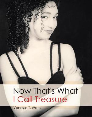 Cover of the book Now That's What I Call Treasure by Susan Norgren
