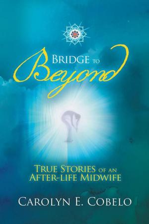 bigCover of the book Bridge to Beyond by 