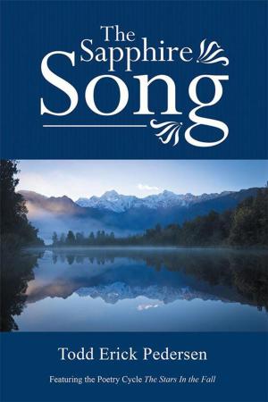Cover of the book The Sapphire Song by Barbara Heagy