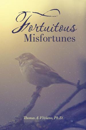 Cover of the book Fortuitous Misfortunes by Katrina McGhee