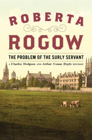 bigCover of the book The Problem of the Surly Servant by 