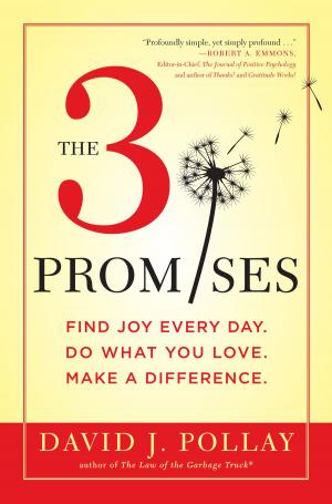 Book cover of The 3 Promises