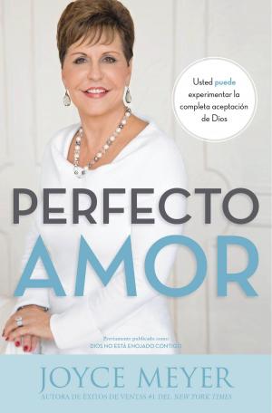 Cover of Perfecto amor