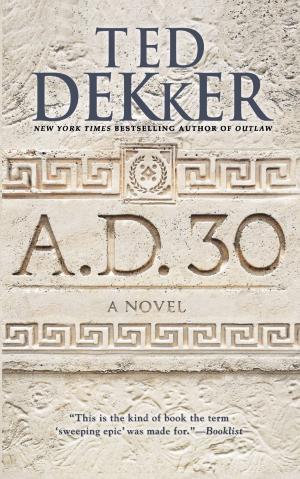 Cover of the book A.D. 30 by Lauren Greutman