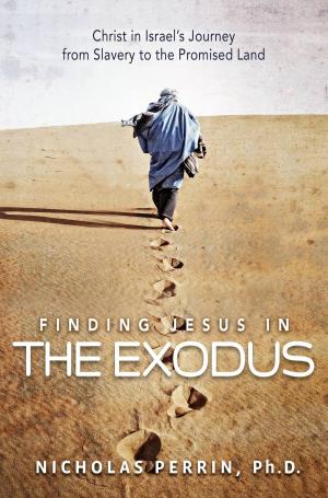 Cover of the book Finding Jesus In the Exodus by Kevin Myers, John C. Maxwell