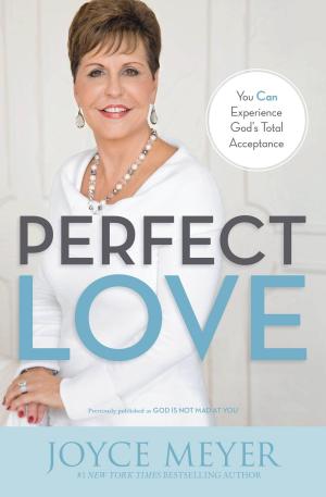 Cover of the book Perfect Love by Joe Heilman