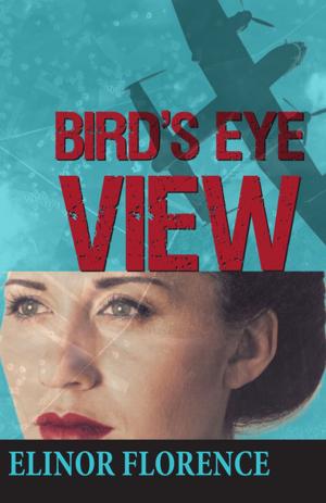 Cover of the book Bird's Eye View by John Honsberger