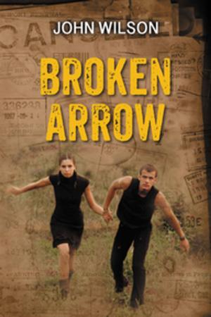 Book cover of Broken Arrow