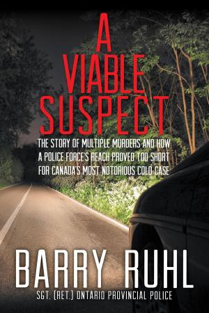 Cover of the book A Viable Suspect by Andrew Snook