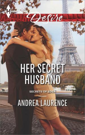 Cover of the book Her Secret Husband by Christy Barritt