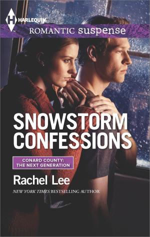 Cover of the book Snowstorm Confessions by Mike Sanders
