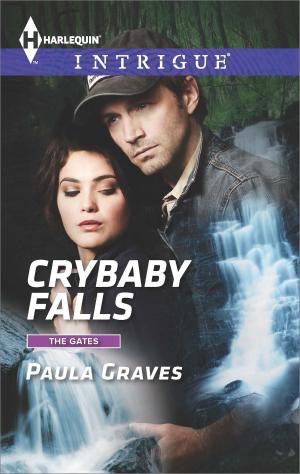 Cover of the book Crybaby Falls by Terri Brisbin