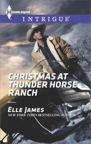 Cover of the book Christmas at Thunder Horse Ranch by DJ Jennings